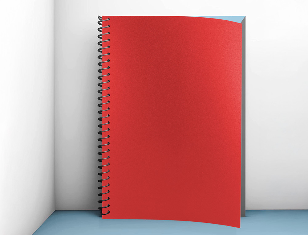 TAPA ENCUADERNACION LIDERPAPEL POLIPROPILENO A4 0.5MM ROJO OPACO PAQUETE DE 100 UNIDADES