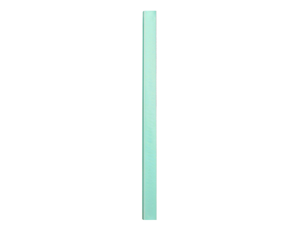 CARPETA LIDERPAPEL ESCAPARATE 30 FUNDAS POLIPROPILENO DIN A4 VERDE MANZANA OPACO
