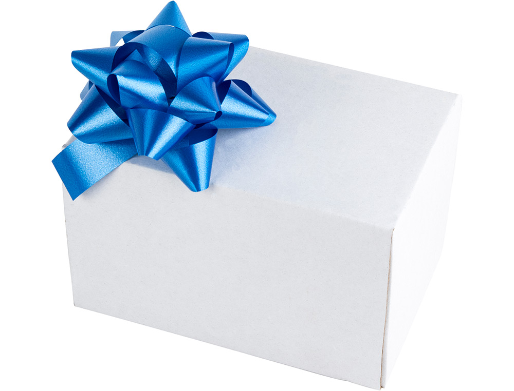 LAZO FANTASIA LIDERPAPEL 19 MM CAJA DE 50 UNIDADES COLORES SURTIDOS