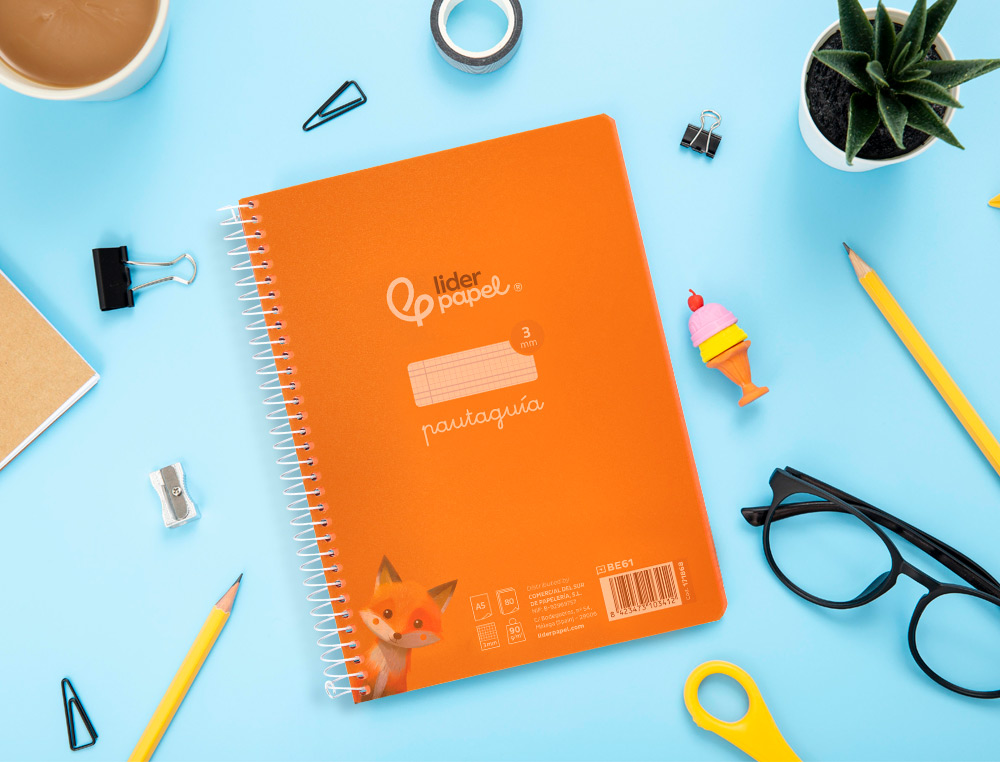 CUADERNO ESPIRAL LIDERPAPEL A5 PAUTAGUIA TAPA PLASTICO 80H 90GR CUADRO PAUTADO 3MM COLOR NARANJA