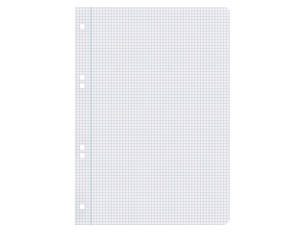 RECAMBIO LIDERPAPEL A4 100 HOJAS 75GR CUADRO 4MM CON MARGEN 16 TALADROS