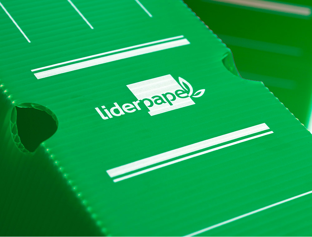 CAJA ARCHIVO DEFINITIVO PLASTICO LIDERPAPEL LOMO 100 MM VERDE 360X100X260 MM