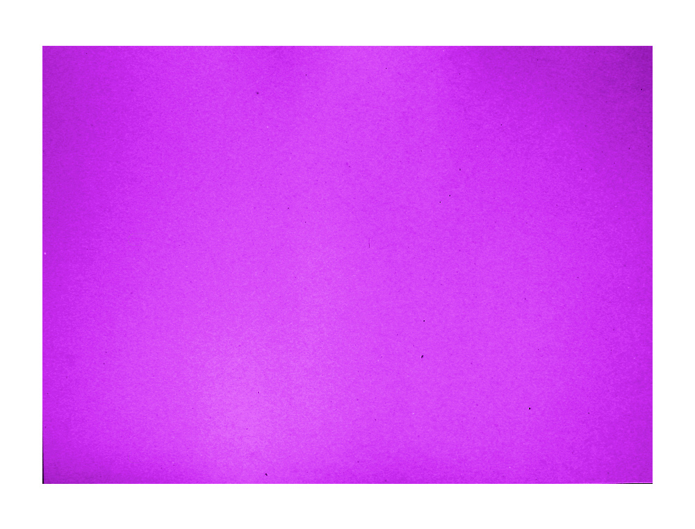CARTULINA GUARRO VIOLETA 50X65 CM 185 GR