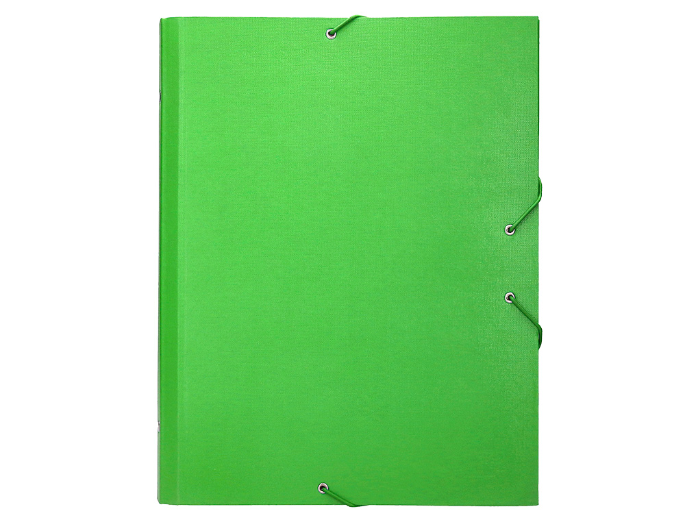 CARPETA CLASIFICADORA LIDERPAPEL 12 DEPARTAMENTOS FOLIO PROLONGADO CARTON FORRADO VERDE CLARO