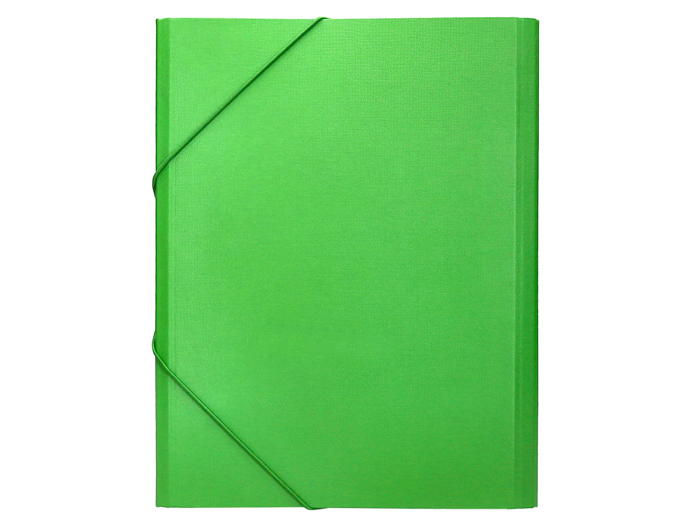 CARPETA CLASIFICADORA LIDERPAPEL 12 DEPARTAMENTOS FOLIO PROLONGADO CARTON FORRADO VERDE CLARO