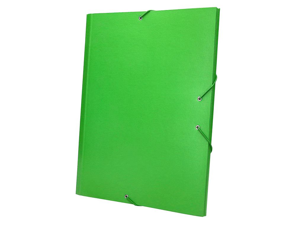 CARPETA CLASIFICADORA LIDERPAPEL 12 DEPARTAMENTOS FOLIO PROLONGADO CARTON FORRADO VERDE CLARO