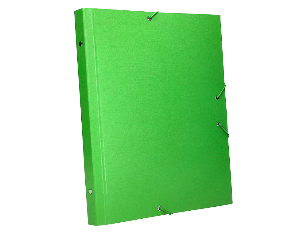 CARPETA CLASIFICADORA LIDERPAPEL 12 DEPARTAMENTOS FOLIO PROLONGADO CARTON FORRADO VERDE CLARO