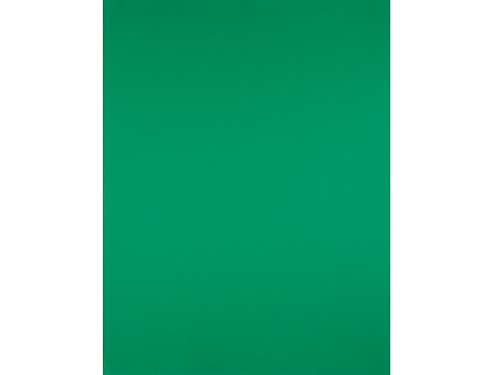 CARTULINA LIDERPAPEL 50X65 CM VERDE NAVIDAD 180 GR UNIDAD