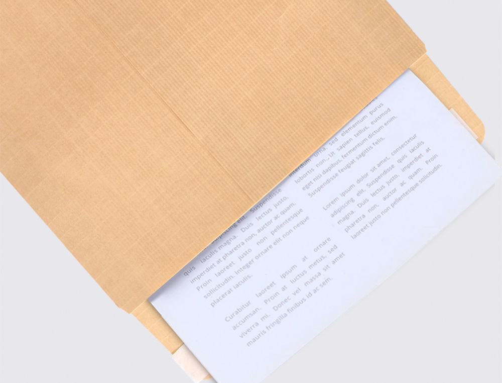 SOBRE LIDERPAPEL BOLSA N.6 KRAFT CUARTO PROLONGADO 184X261MM TIRA DE SILICONA CAJA DE 250 UNIDADES