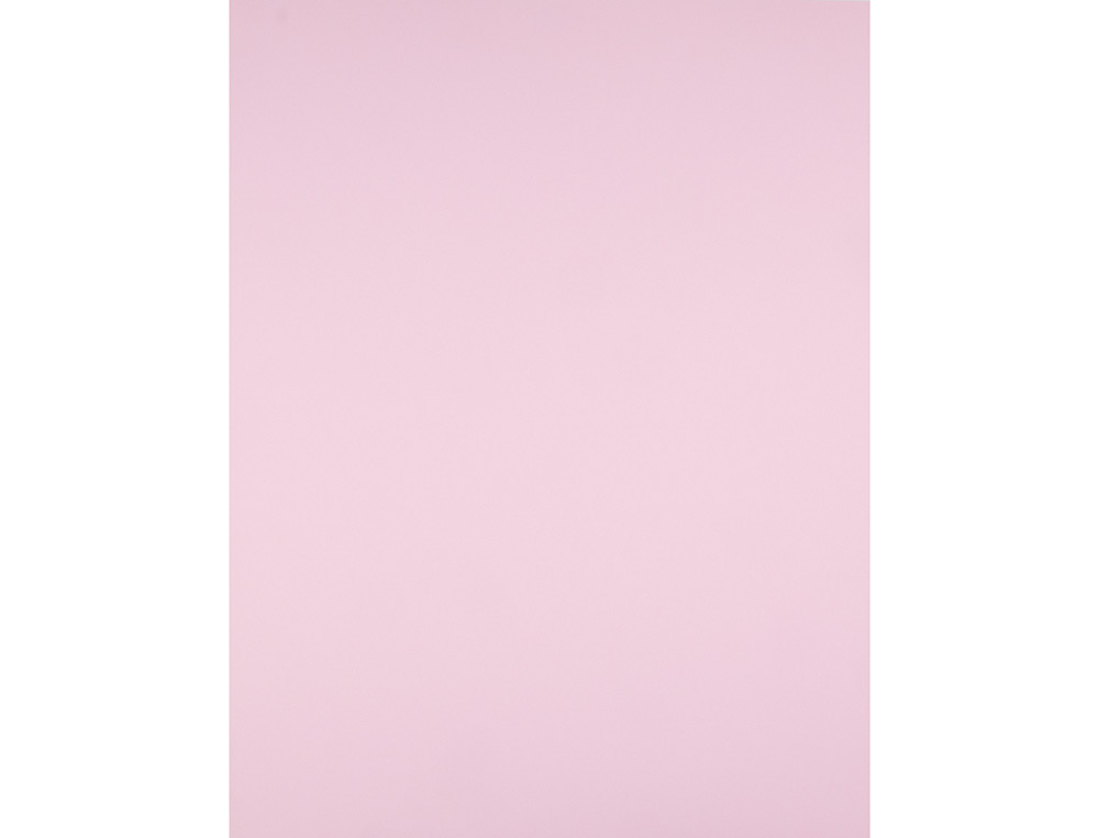 CARTULINA LIDERPAPEL 50X65 CM 240G/M2 ROSA