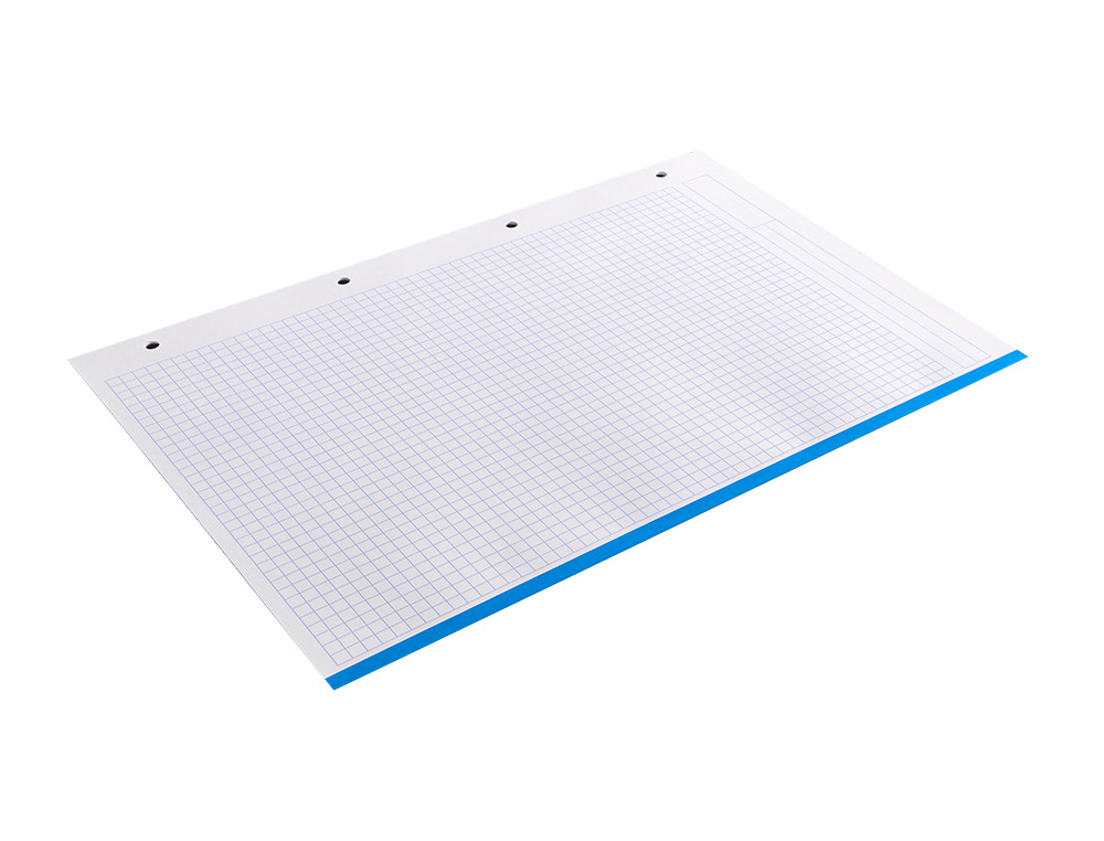 RECAMBIO LIDERPAPEL A4 120 HOJAS 80G/M2 CUADRO 5MM SIN MARGEN 4 TALADROS BANDAS DE 5 COLORES