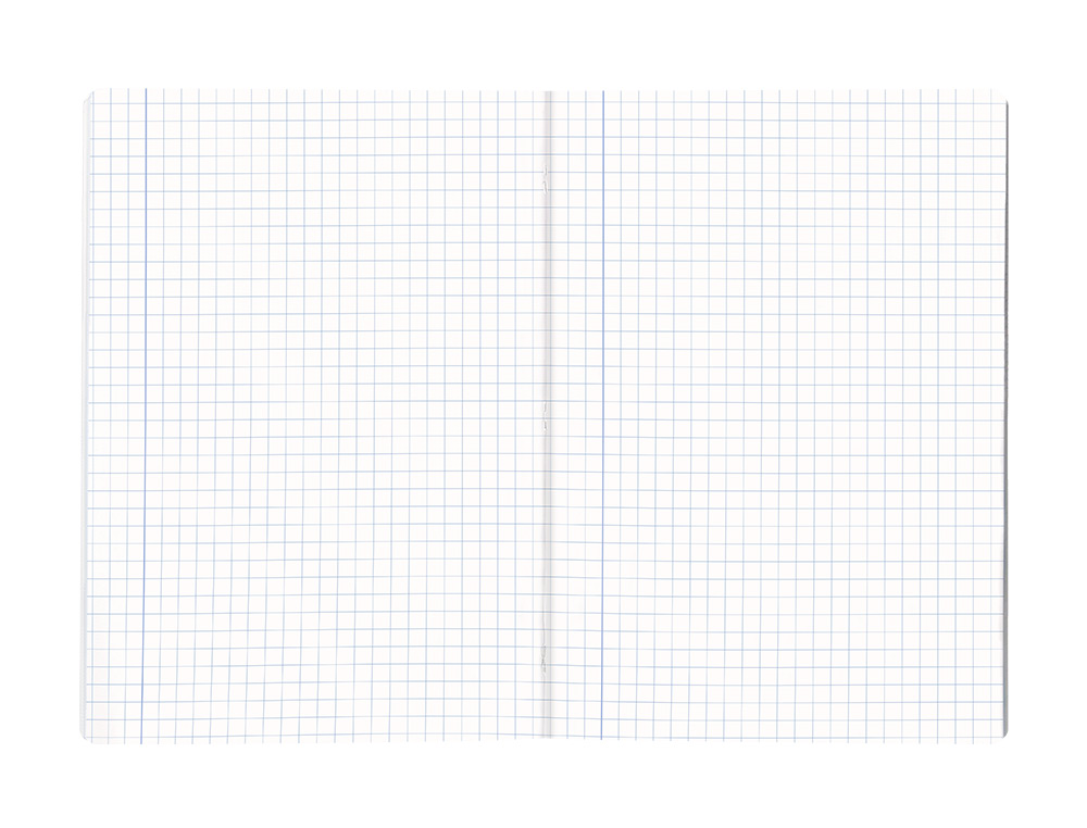 LIBRETA LIDERPAPEL SCRIPTUS A4 48 HOJAS 90GR CUADRO 8MM CON MARGEN