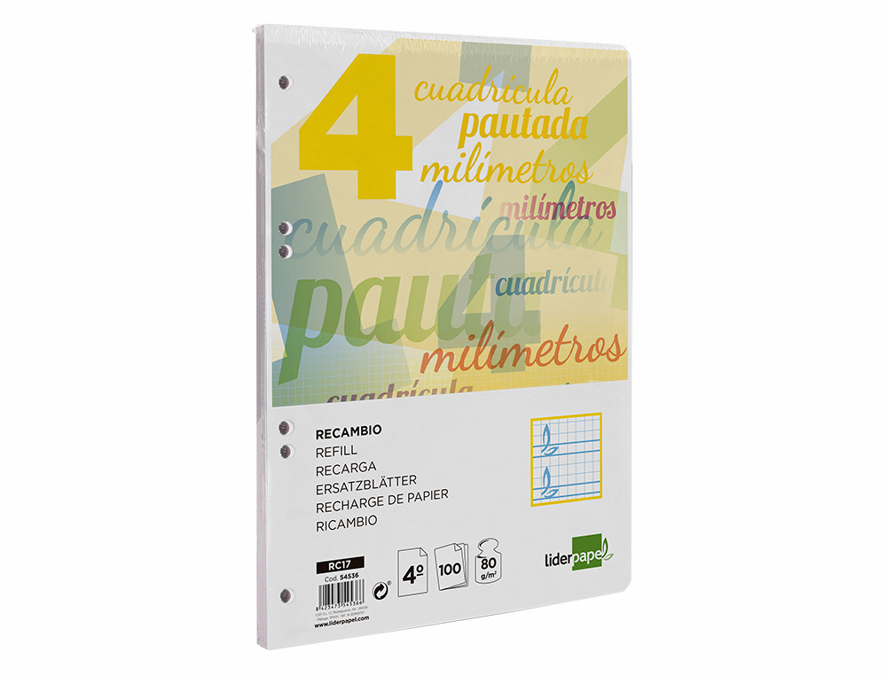 RECAMBIO LIDERPAPEL CUARTO PAUTAGUIA 100 HOJAS 75 G CUADRICULADO PAUTADO 4MM CON MARGEN 6 TALADROS