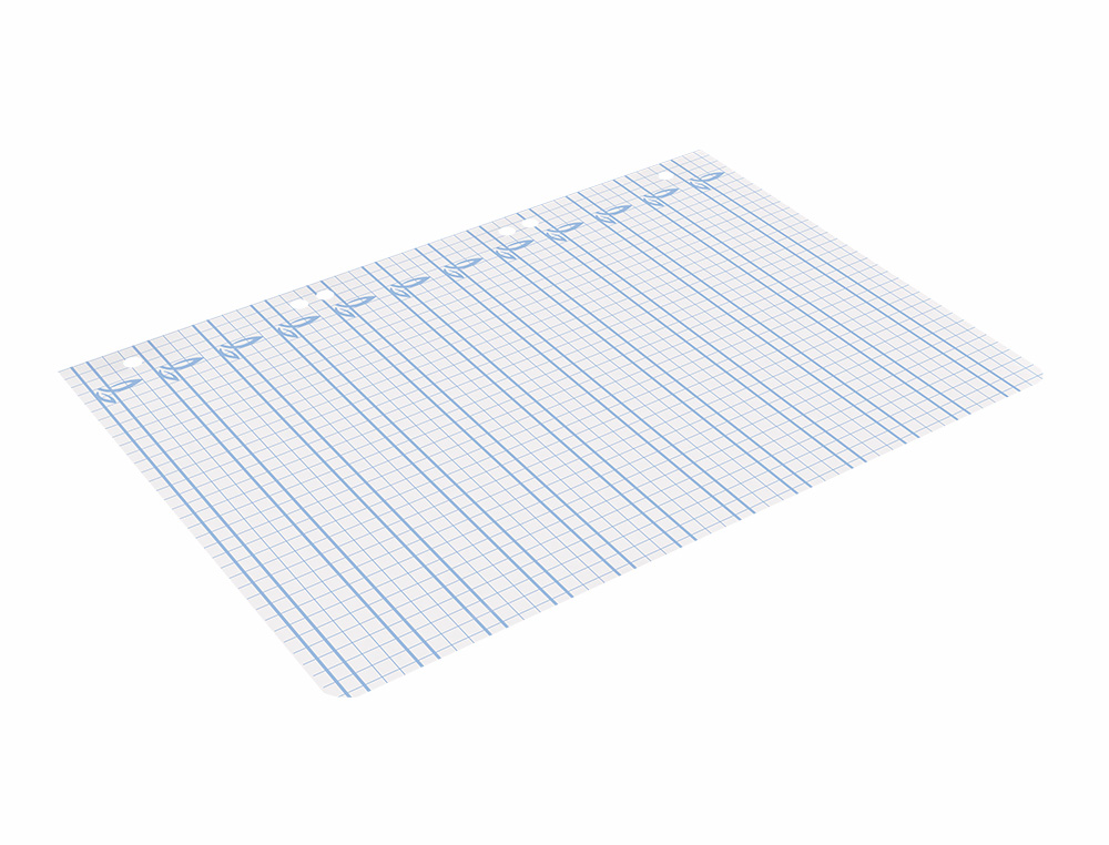 RECAMBIO LIDERPAPEL CUARTO PAUTAGUIA 100 HOJAS 75 G CUADRICULADO PAUTADO 4MM CON MARGEN 6 TALADROS