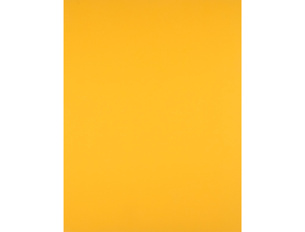 CARTULINA LIDERPAPEL 50X65 CM 180 GR ORO VIEJO UNIDAD