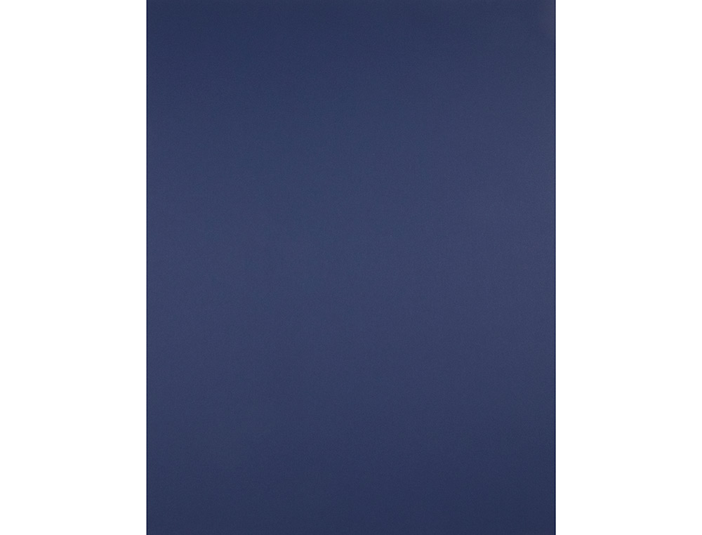 CARTULINA LIDERPAPEL 50X65 CM 180 GR ZAFIRO UNIDAD