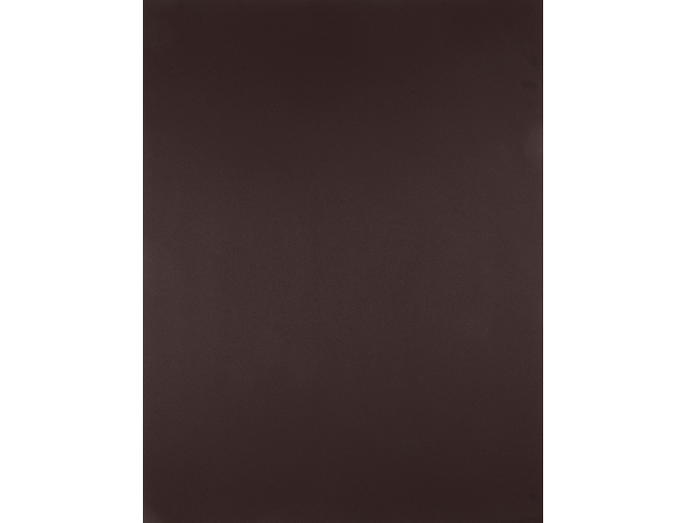 CARTULINA LIDERPAPEL 50X65 CM 180 GR MARRON PAQUETE DE 25 HOJAS