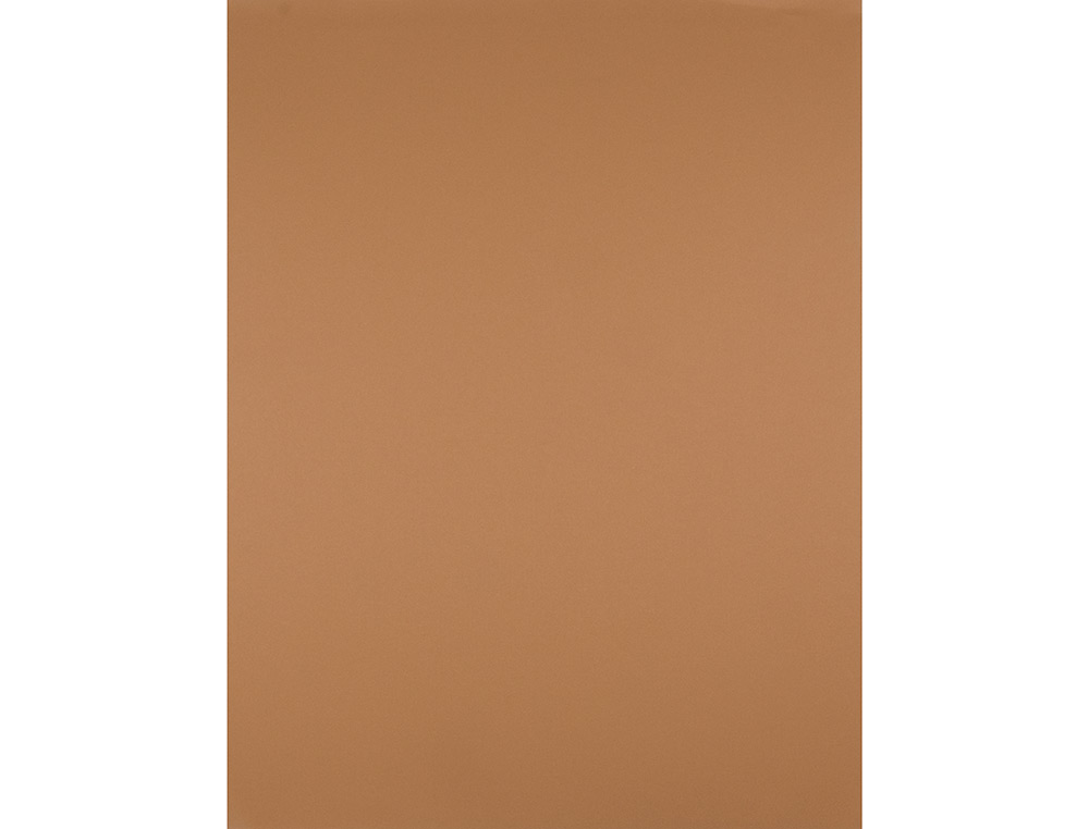 CARTULINA LIDERPAPEL 50X65 CM 180 GR MARRON ESCOLAR PAQUETE DE 25 HOJAS
