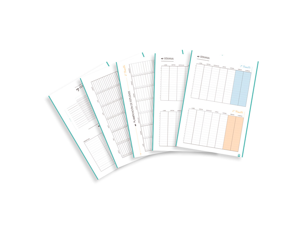 CARPETA CARPEBLOCK CARCHIVO DIN A4 FOAM CON RECAMBIO BONUS 360º SOFT STYLE COLOR VERDE MALVA